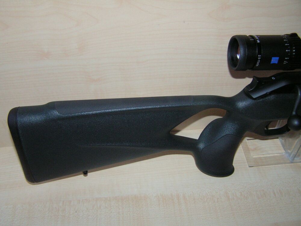 Blaser R8 Professional Success