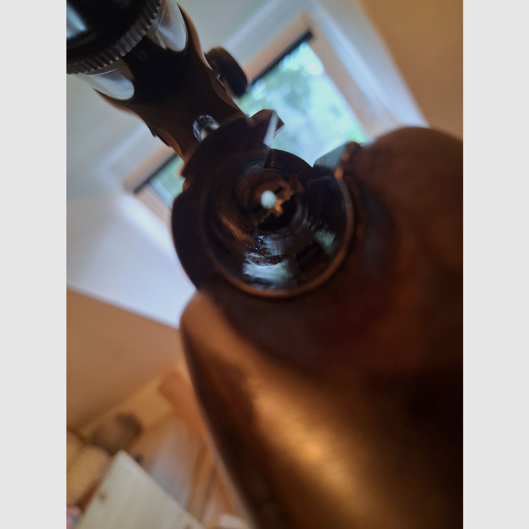 .22 WinMag / WMR bolt-action rifle Anschütz, immagine 4 di 8