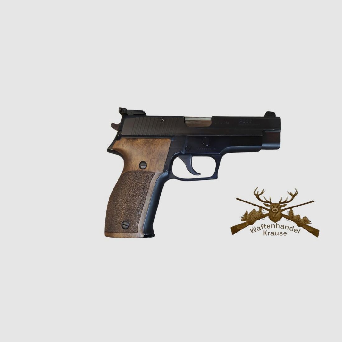 Sig Sauer P226
