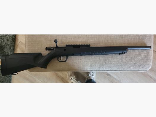 Savage B17 .17 HMR & 450 cartouches