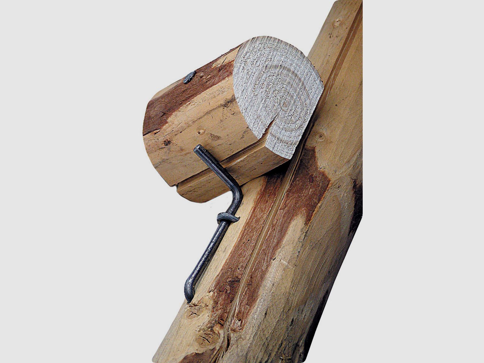 Sicurezza dei rami Vario