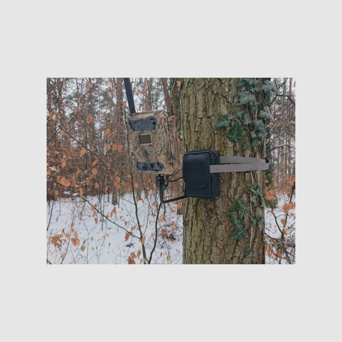 ICU Baummontage-Schraube