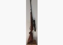 Mauser 66