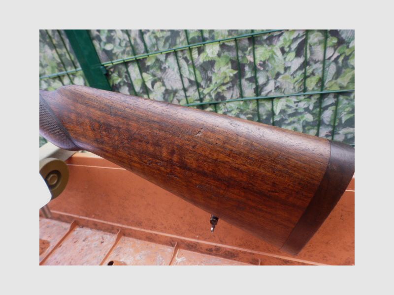 Charlin System Darne shotgun