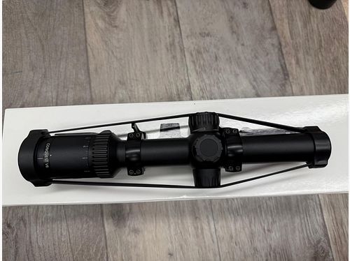 ZEISS riflescope Conquest V6 without rail 1.1-6x24 with Recknagel quick-release ring mount