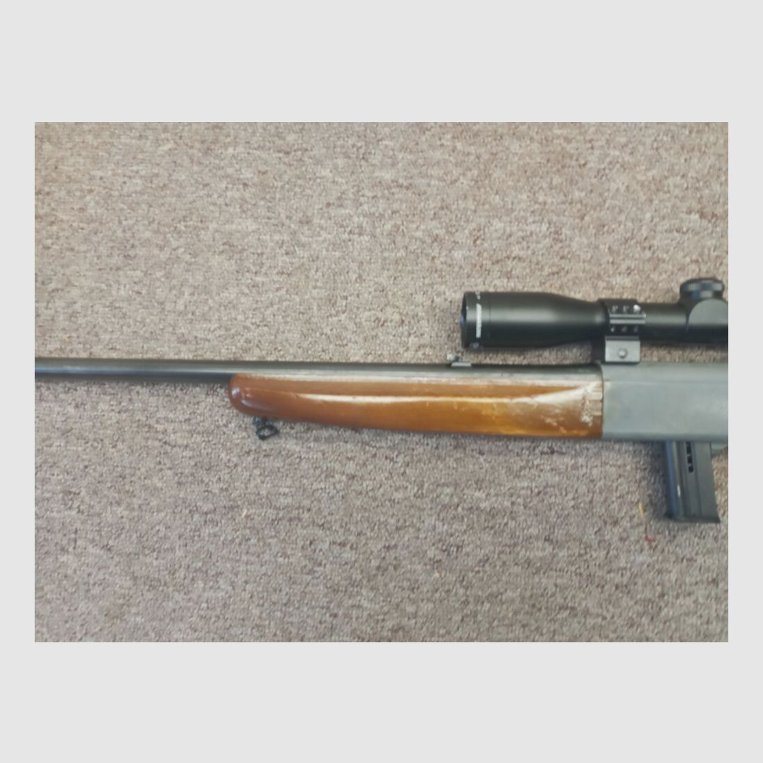 Anschütz 300