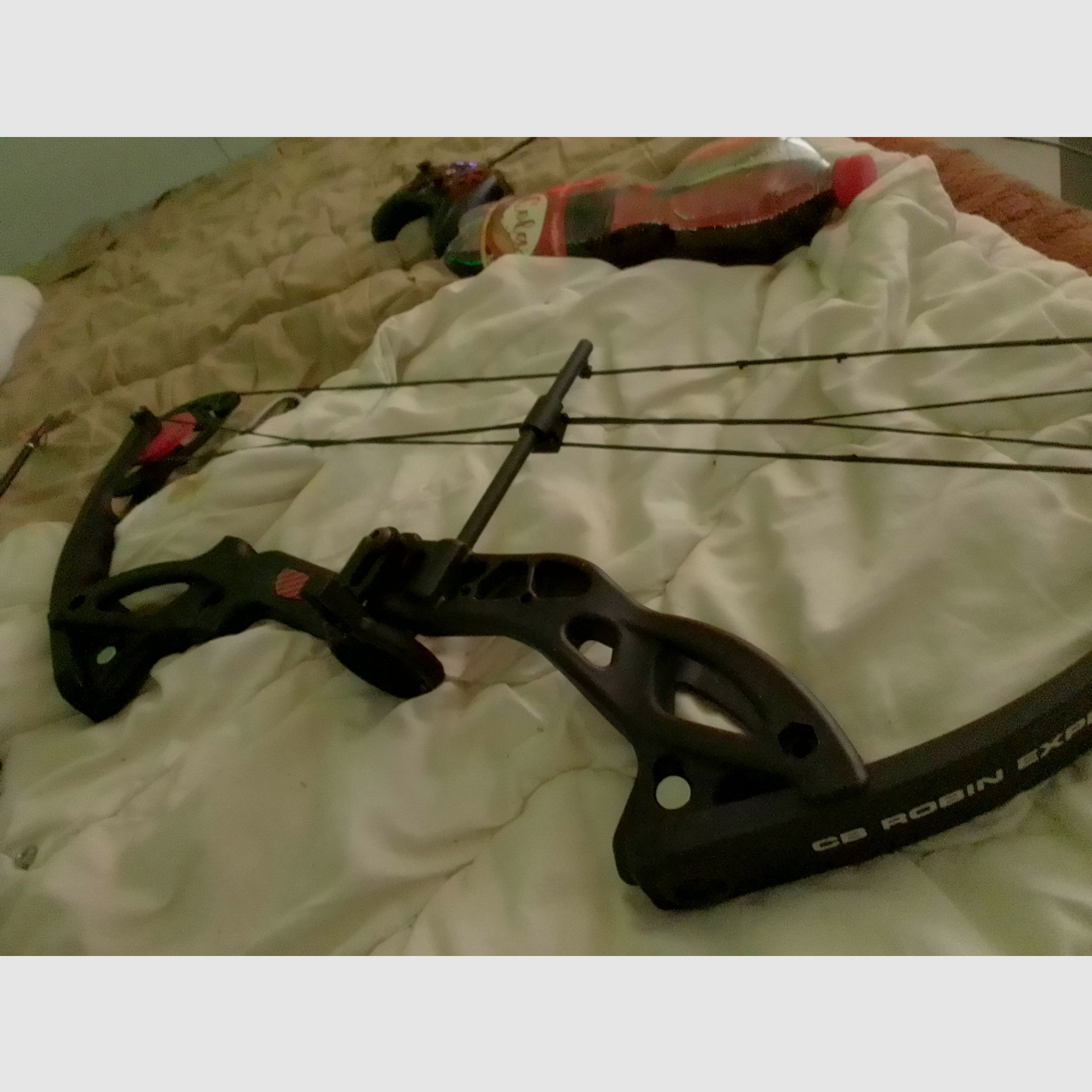 NXG CB ROBIN ESPERTO