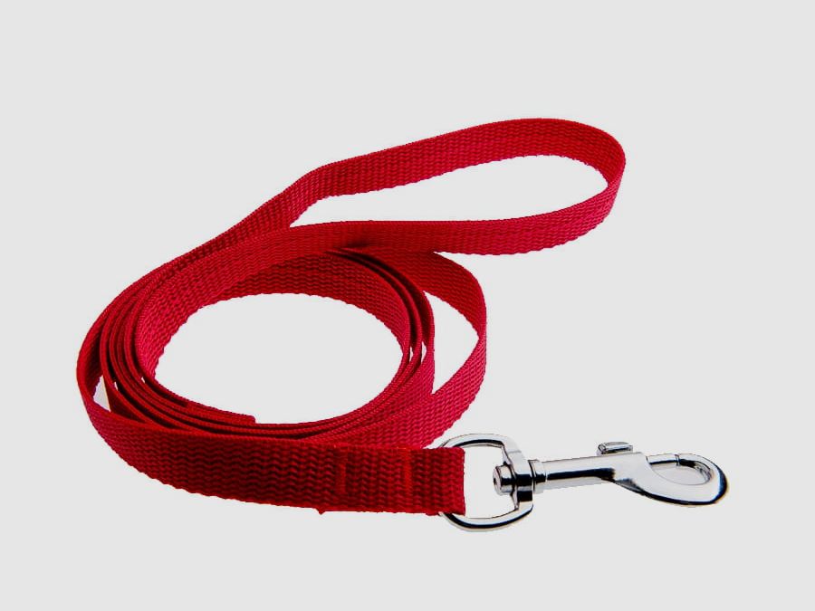 Klassische Stadthundeleine 150 cm – rot, Bild 1 von 2