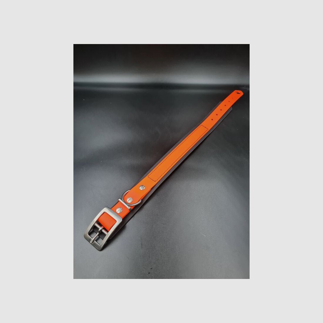 Biothane Halsband unterlegt 35-45 cm Halsumfang