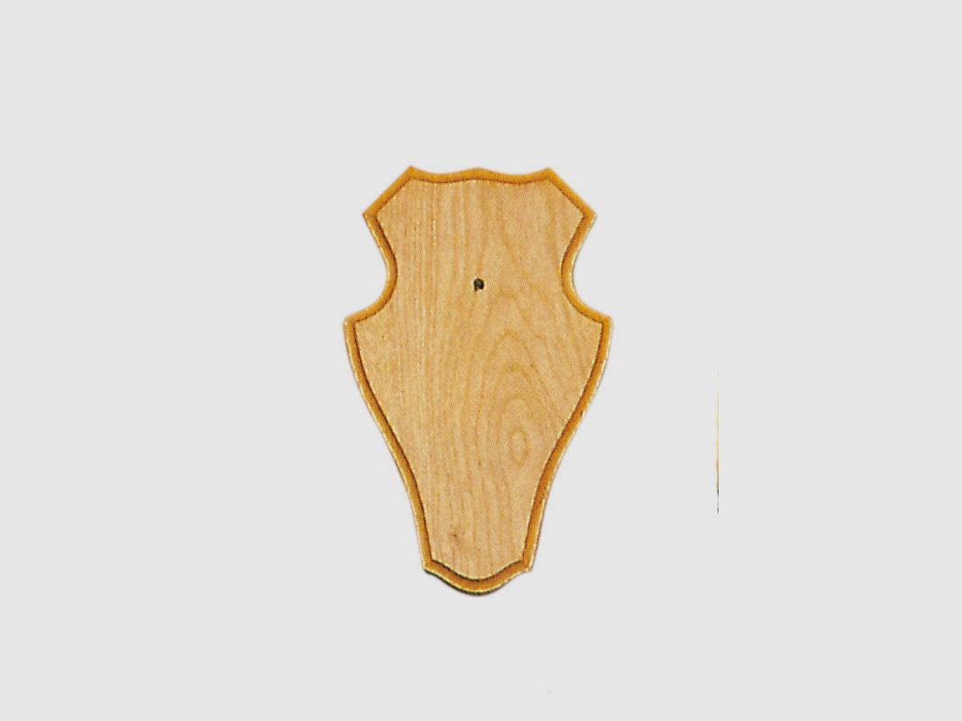 Brain boards for game, 19x12cm