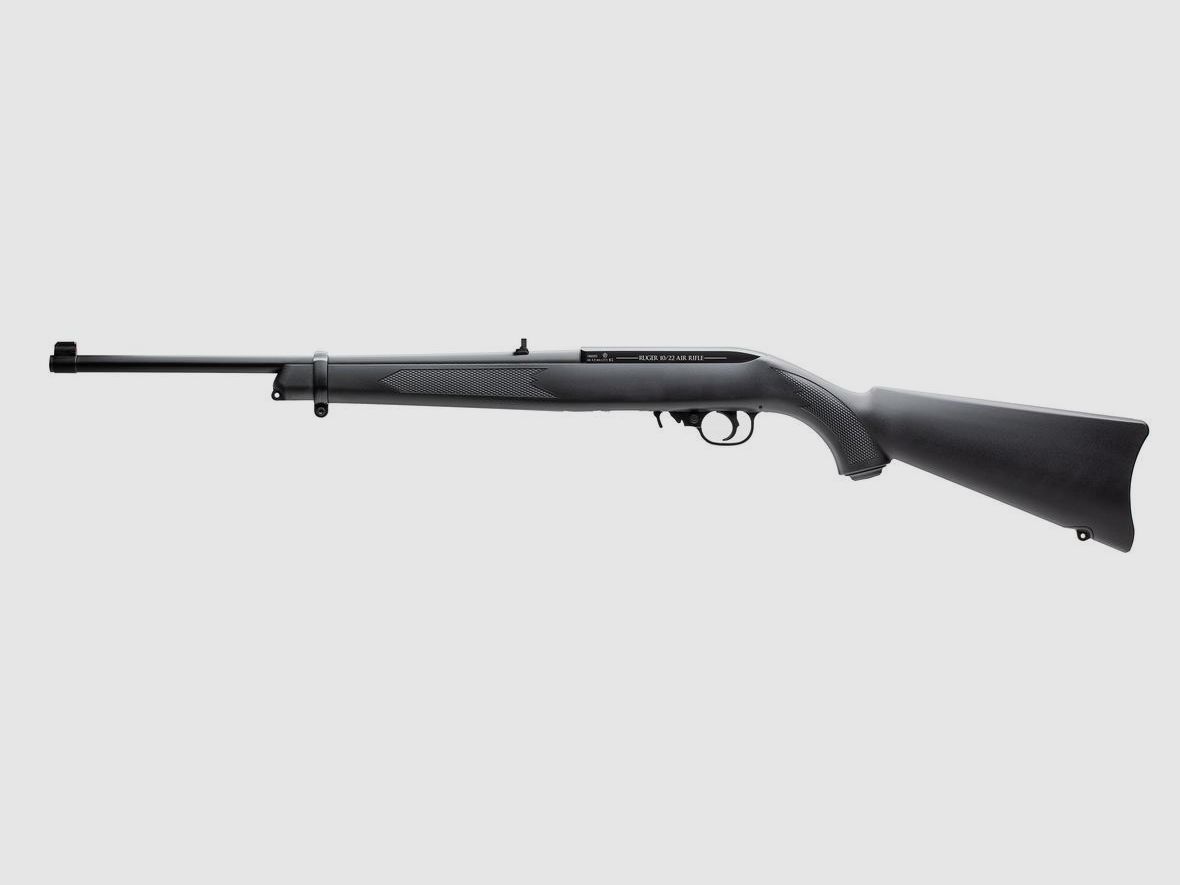 Ruger 10/22