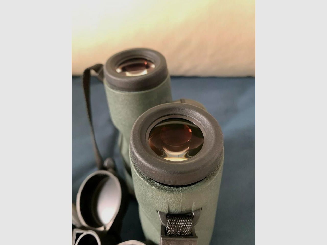 Fernglas: Swarovski EL 10x50 Swarovision