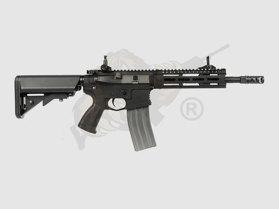 G&G CM16 Raider 2.0 Schwarz Airsoft S-AEG frei ab 18