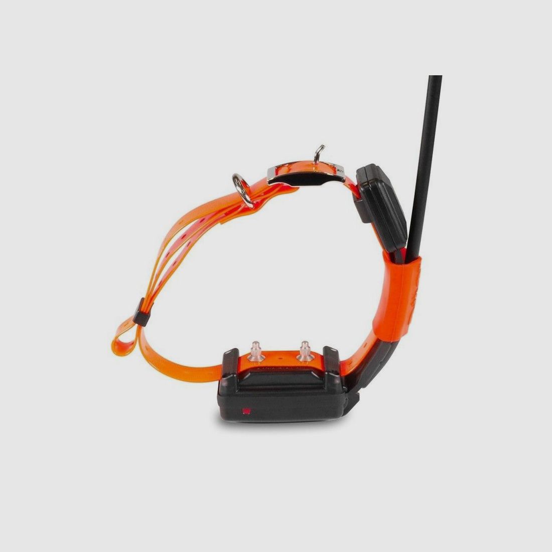 GPS DOGTRACE Collier SHORT Supplémentaire X25-T