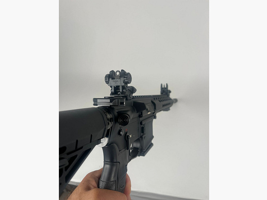 Schmeisser AR 15