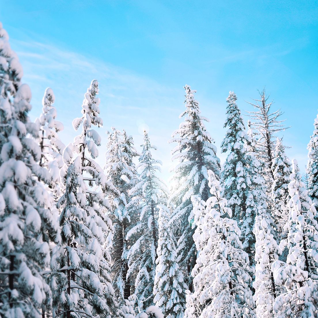 Die beste Ausrüstung für die Winterjagd
