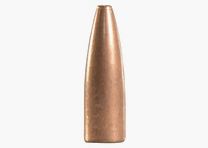 Speer Kogel .22/.224 62GR Gold Dot SP 100 Stuks