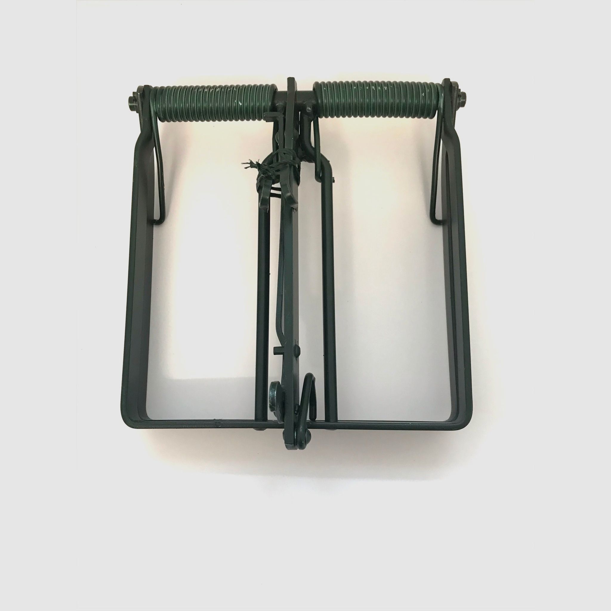 Baumfalle & Nutriafalle