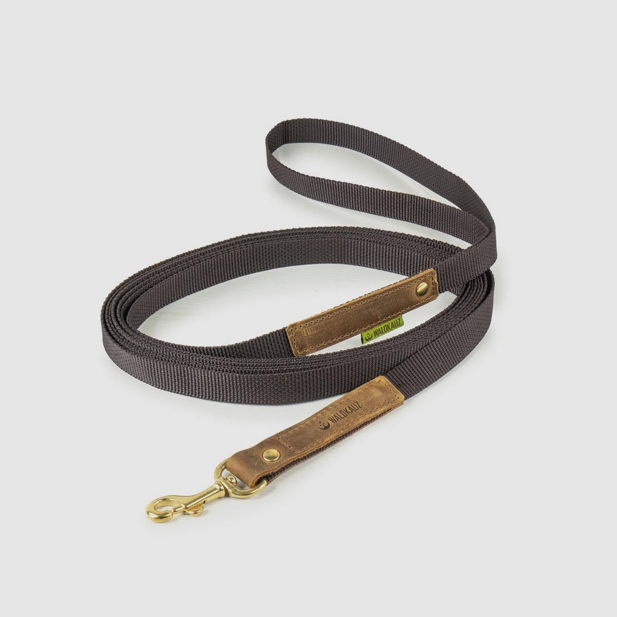Training leash "Intern" 5m brown