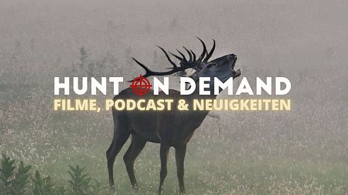 Filme, Podcast & Neuigkeiten!