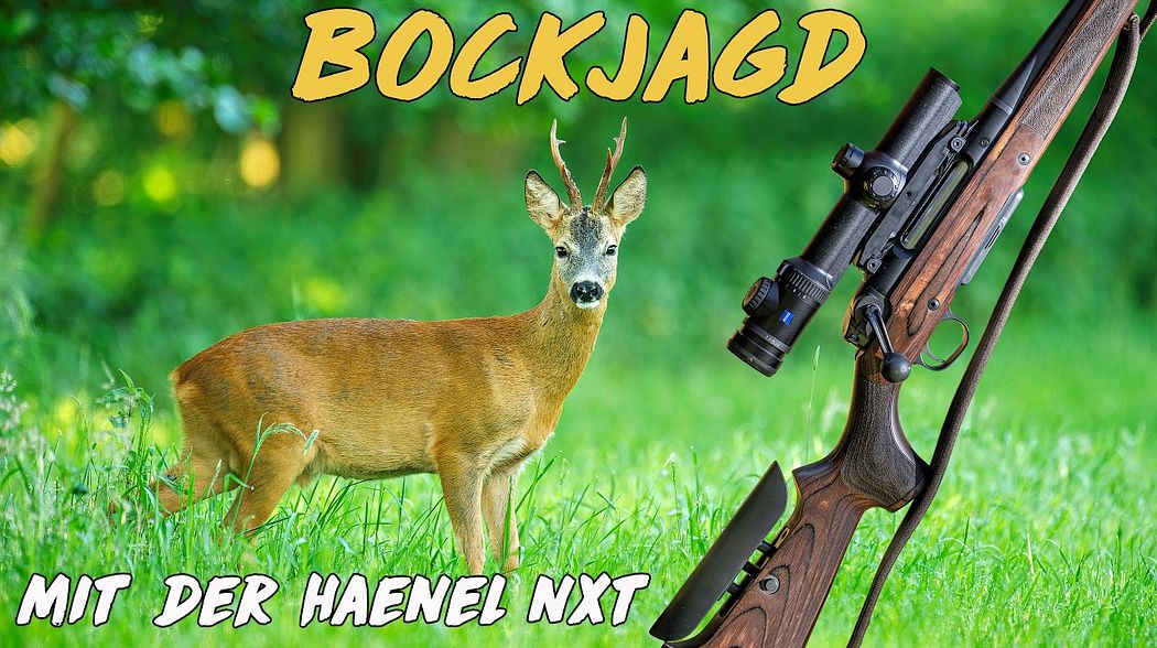 Bockjagd mit der Haenel Jaeger NXT
