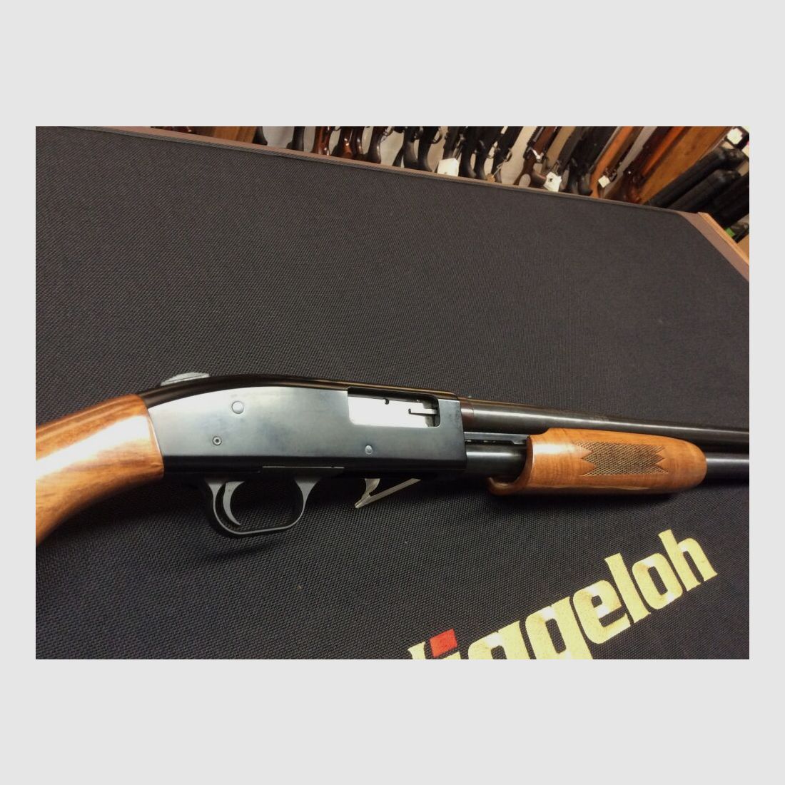 Mossberg ohne	 12/76