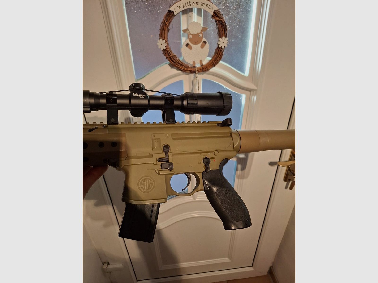 Sig Sauer CO2 air rifle 4.5 mm