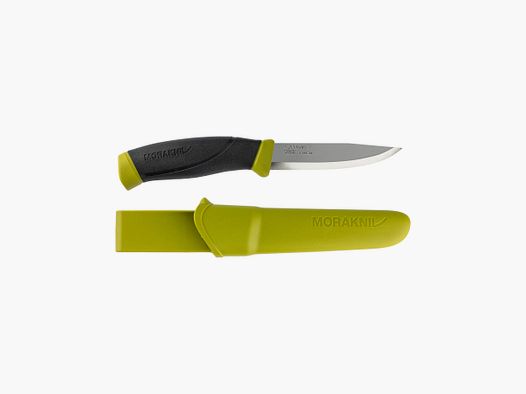 Companion 
                    –                 Farbe: Olive Grün