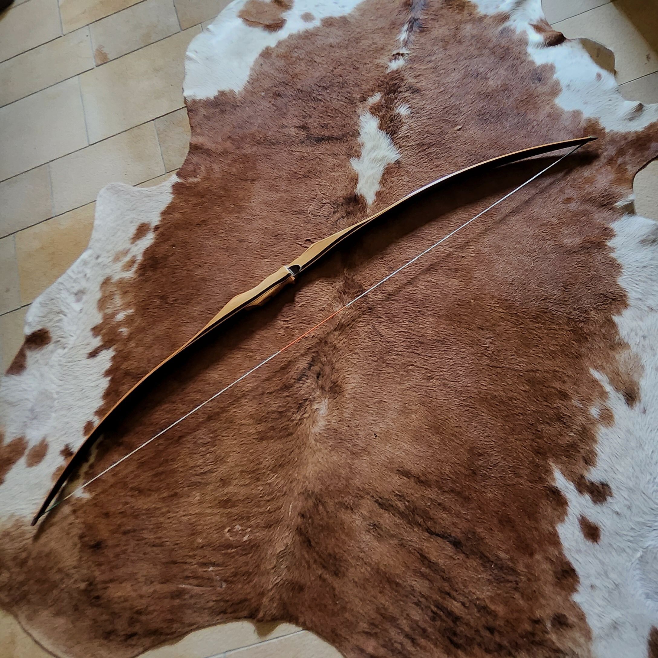 Black Flash Archery Jagdbogen Impala Bogen im Set