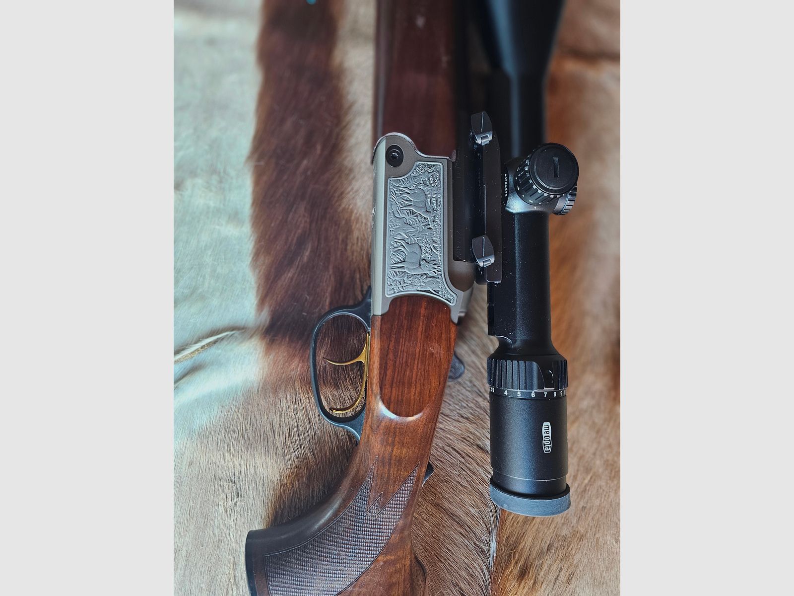 Blaser Bergstutzen BS 95 Luxus ! + Munition