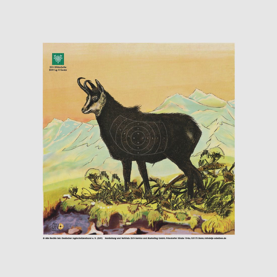 DJV-Scheiben für Luftgewehr