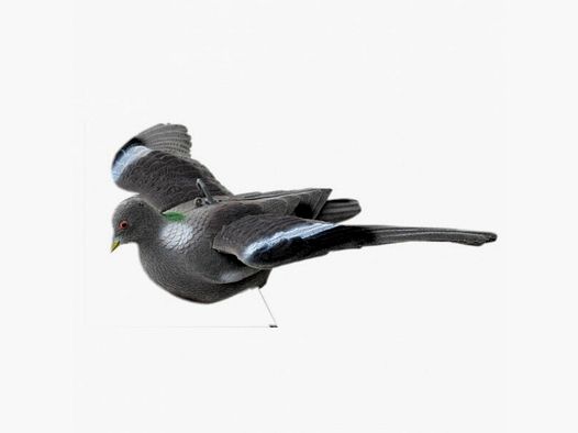 Colombo esca in volo/in arrivo, floccato, ali fisse