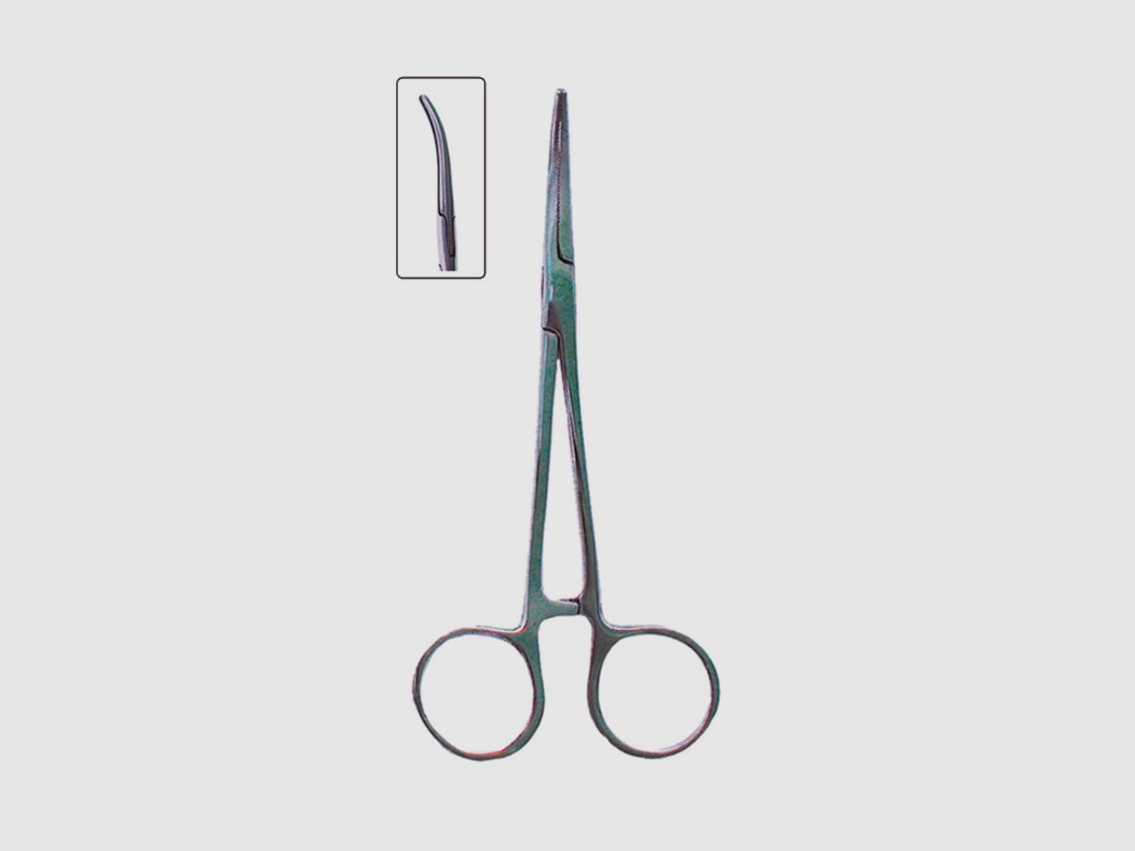 IGNESTI – FORBICE INOX PUNTA CURVA 15cm CON BLOCCAGGIO