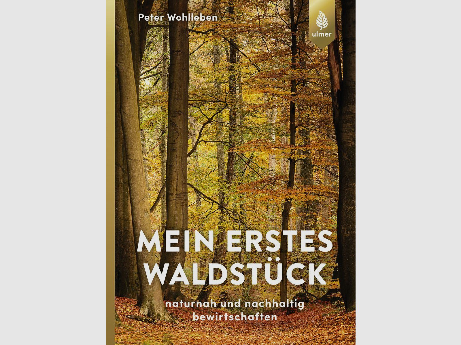 Mein erstes Waldstück