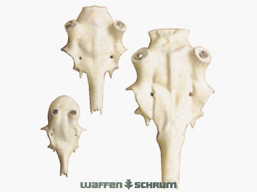 Adolf Boese Kunstmatige Damhertskop Rosenstockdiameter 25mm