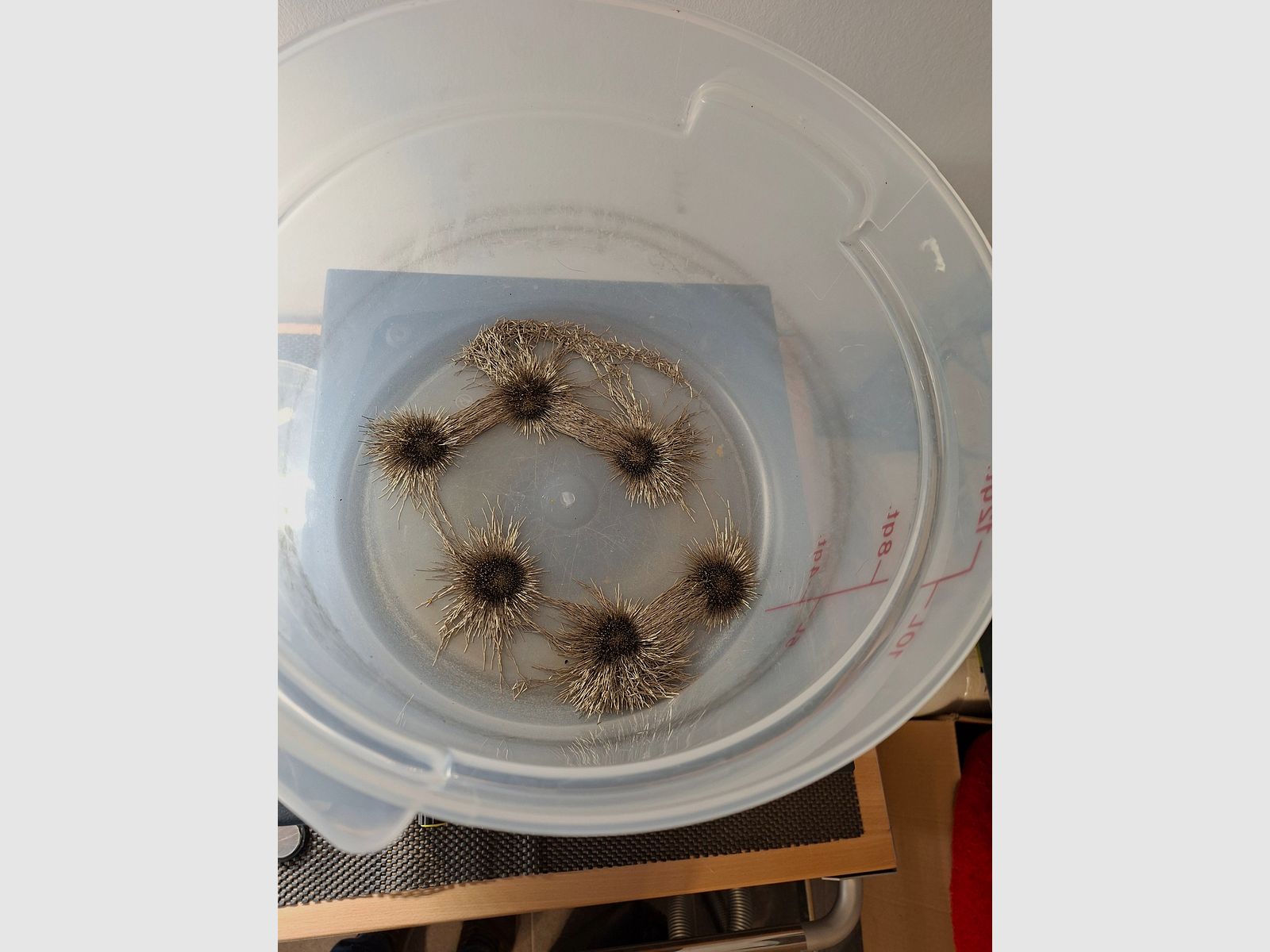 Macchina per lavare le capsule LEM Deluxe di ST