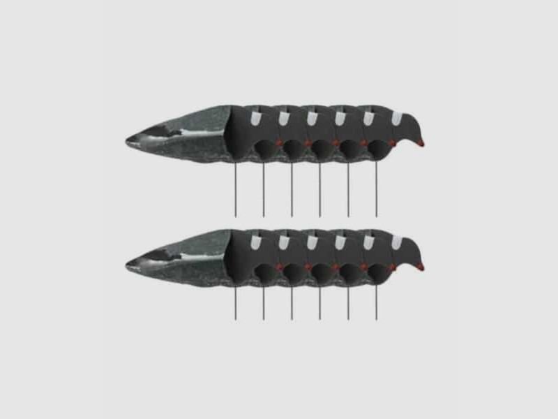 Sillosocks Taubenlocker Harvester Pack 12 Stk.