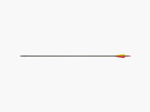 Freccia in carbonio 32" spin 340