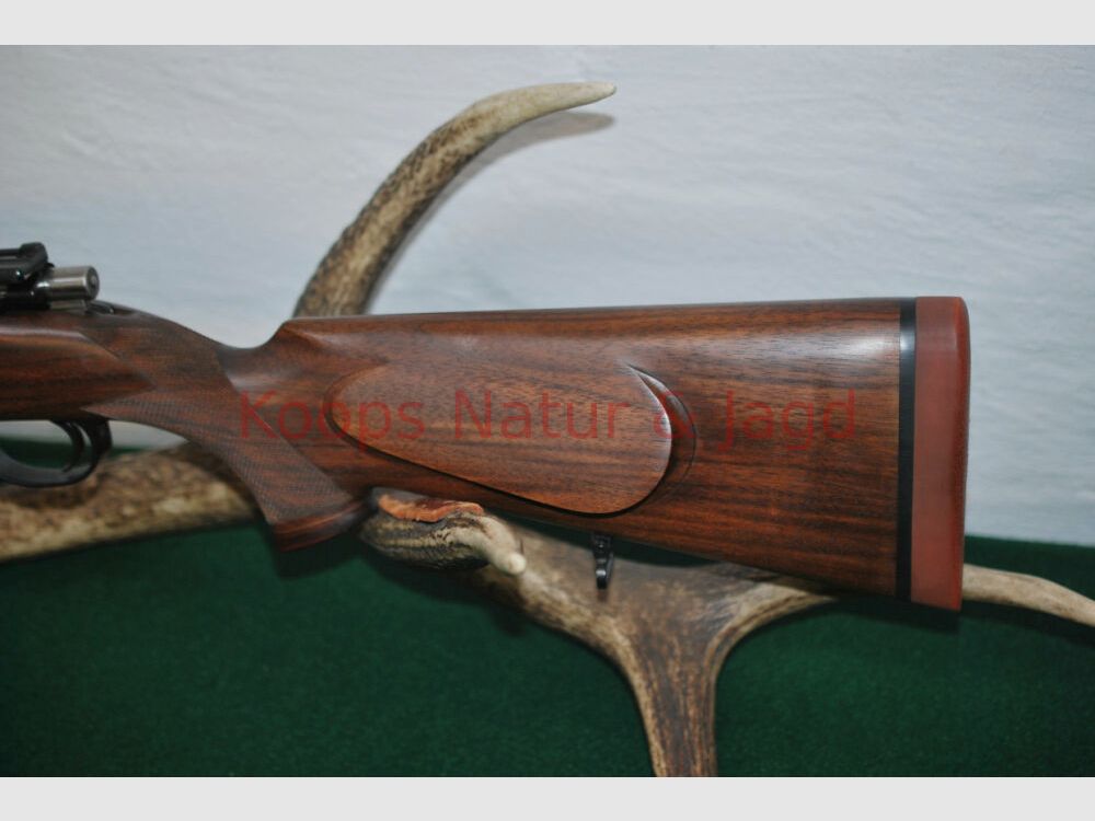 Klaus Koops 98 Système DWM