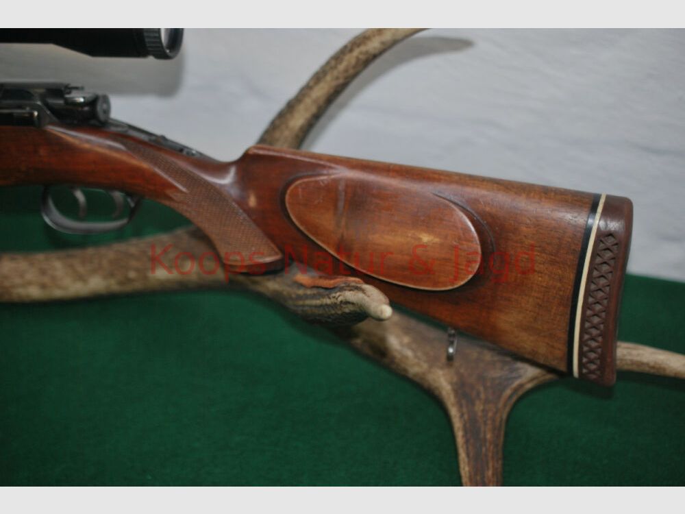 Steyr Mannlicher GK
