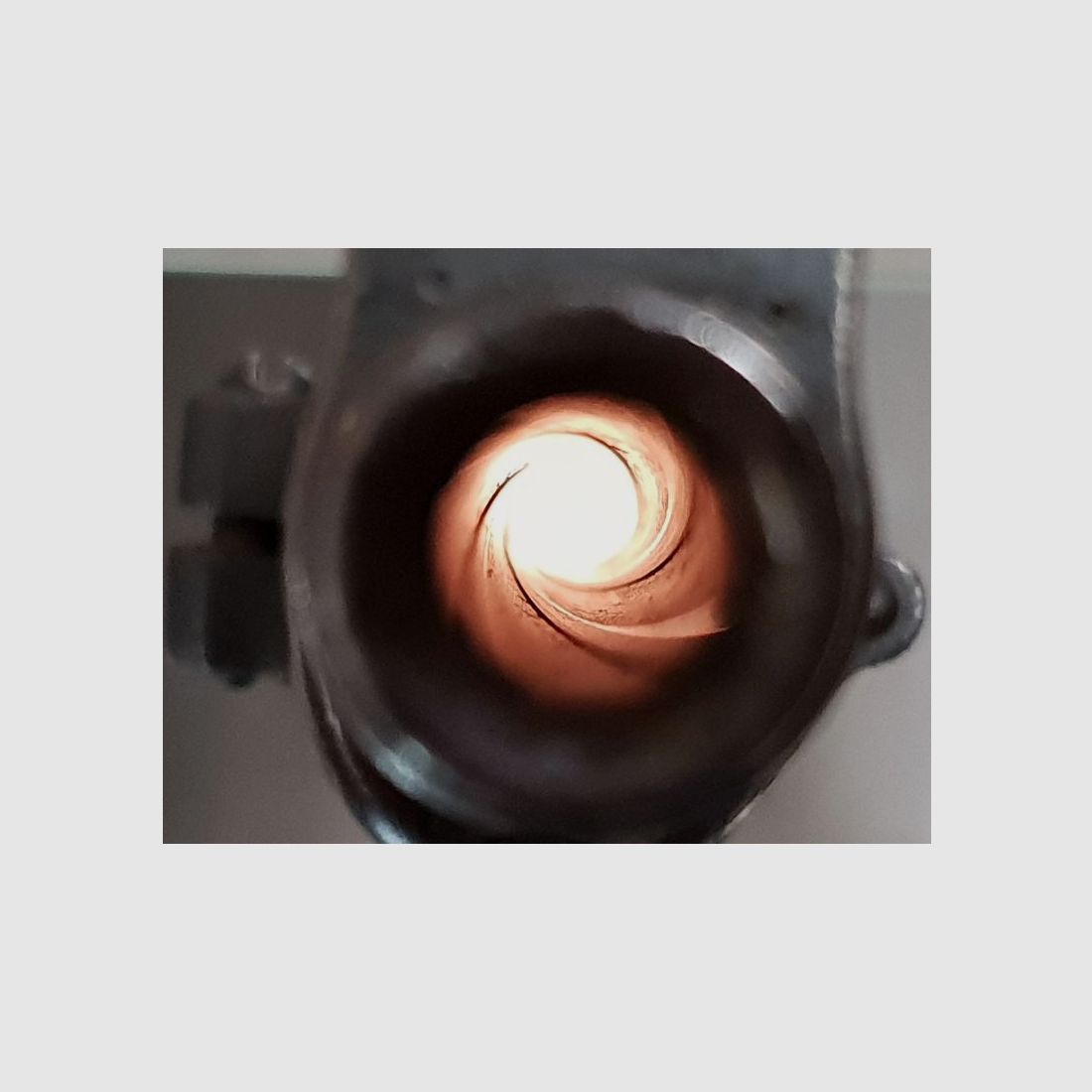 Schmidt Rubin K31 (venduto), immagine 4 di 4