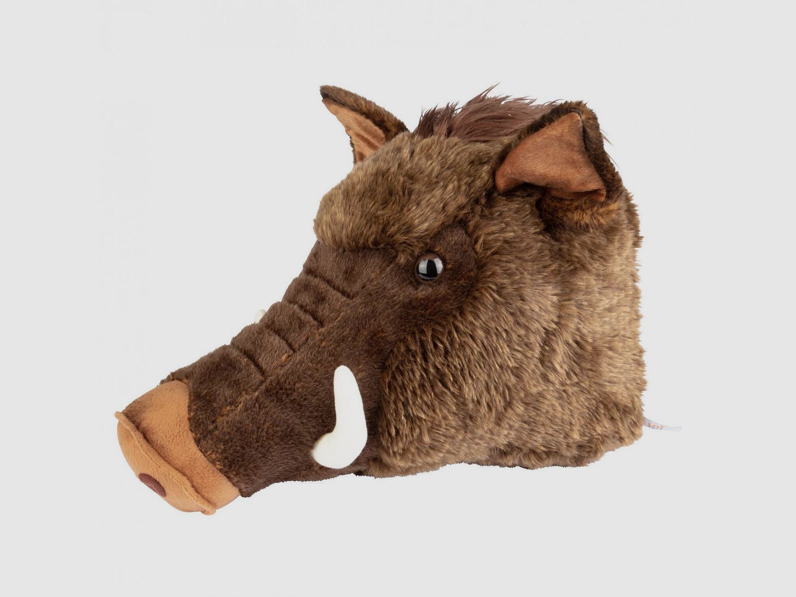 Keiler Trophäe