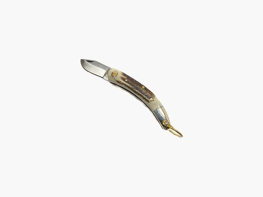 Coltello Virginia manico cervo lama 6 cm
