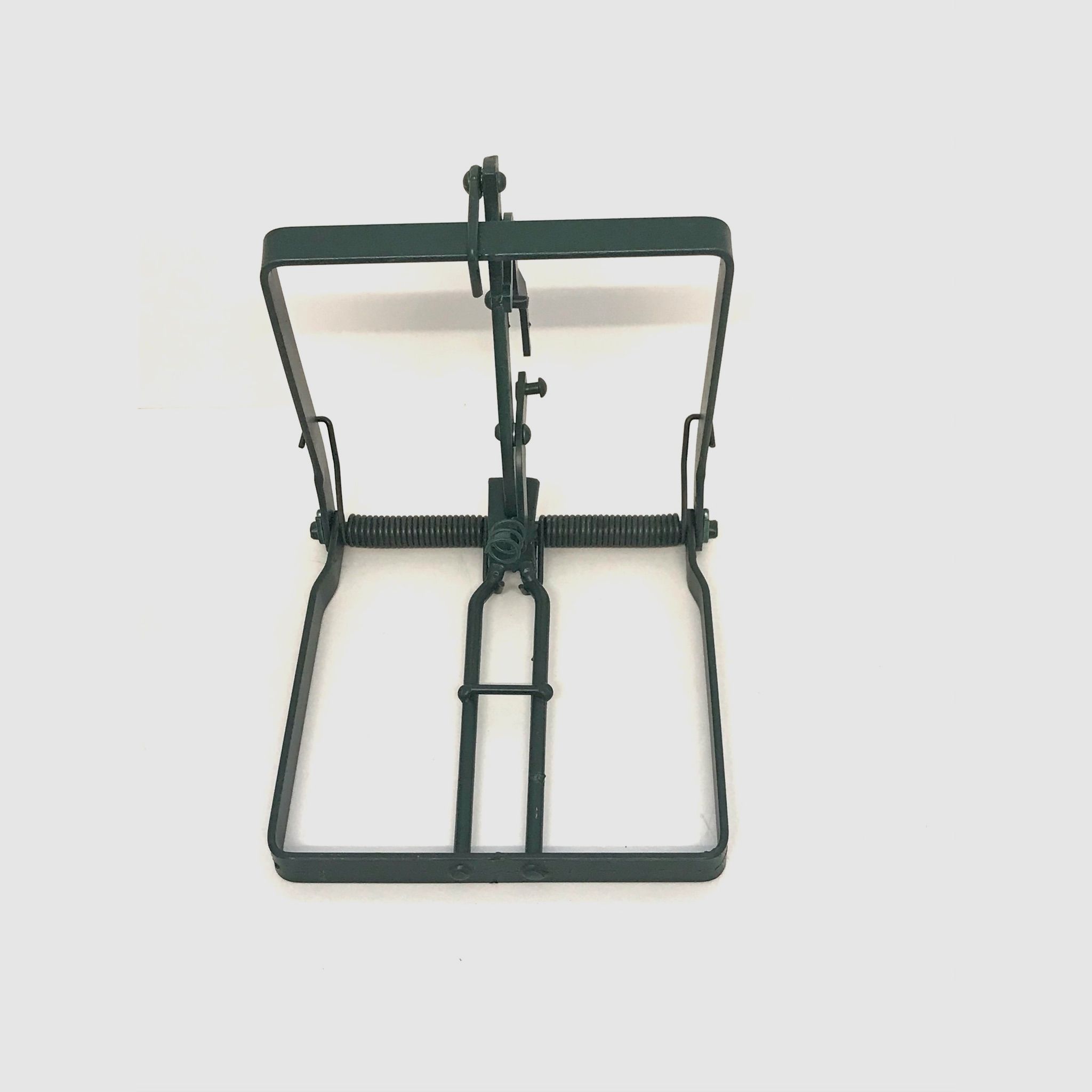 Baumfalle & Nutriafalle