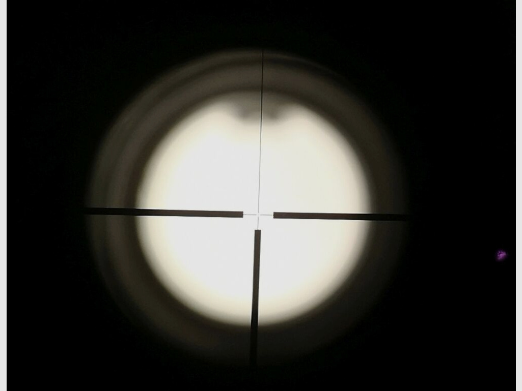 Blaser B95 (BBF 95)