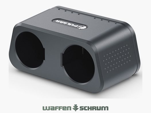 Cargador de batería Pulsar APS para APS5