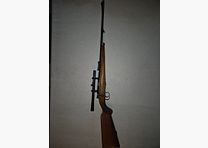 small caliber rifle