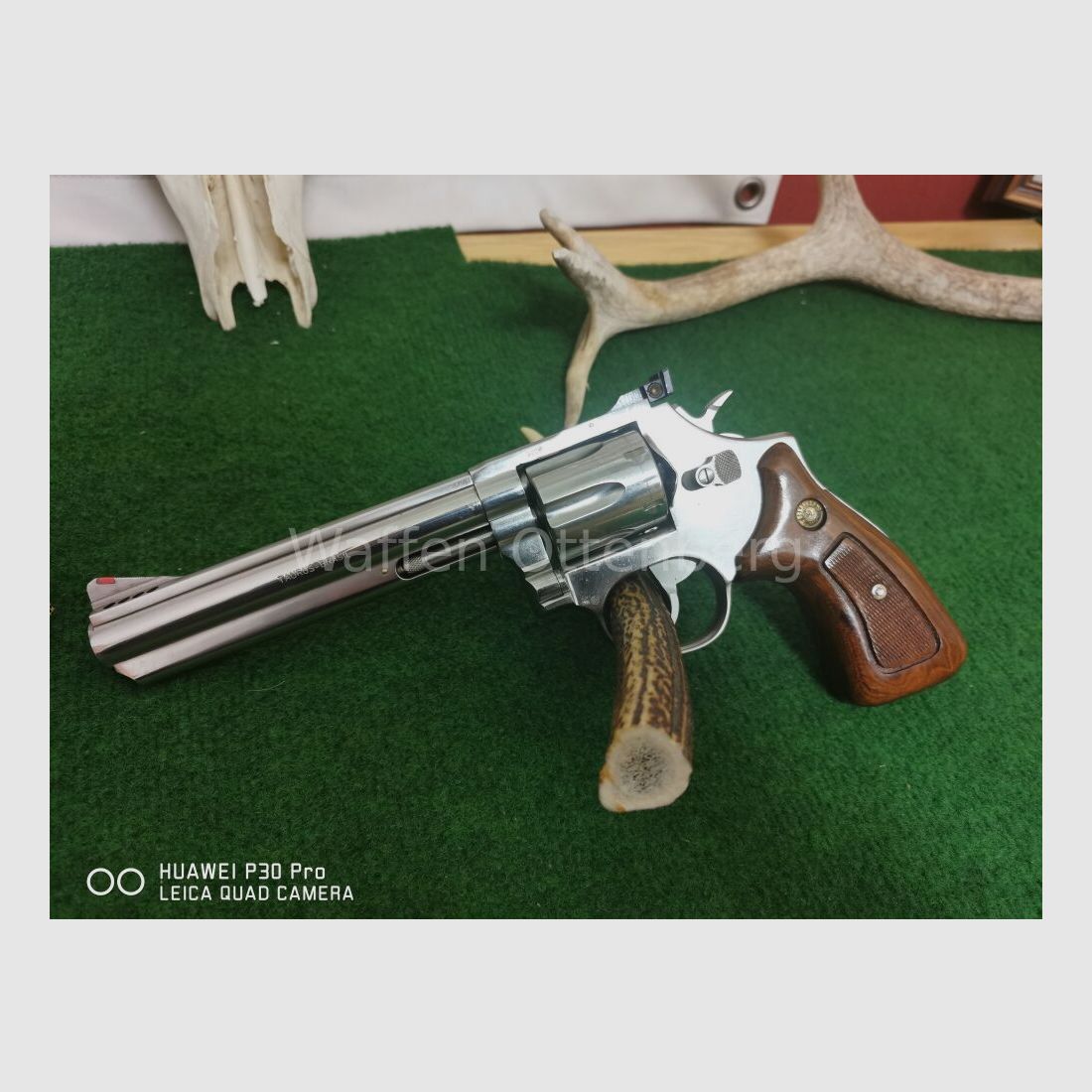 Taurus 669