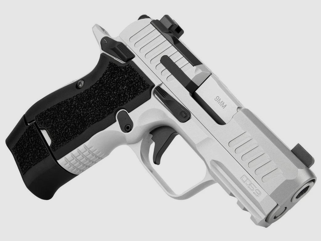 Kimber CDS9 Stainless OR RL pistol, image 3 of 3