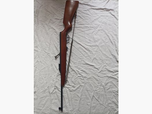 Model Haenel 310